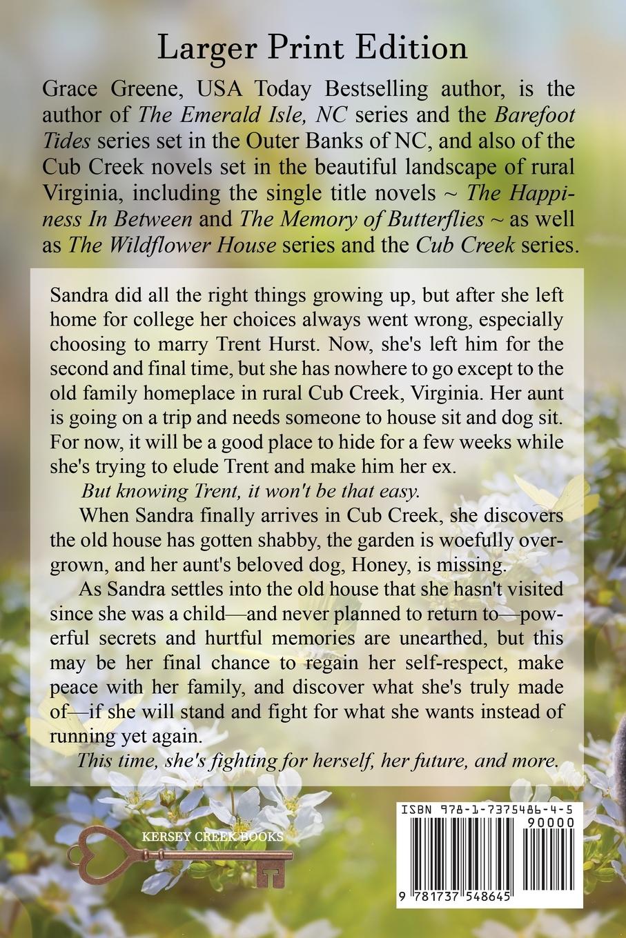 Rückseitencover The Happiness In Between