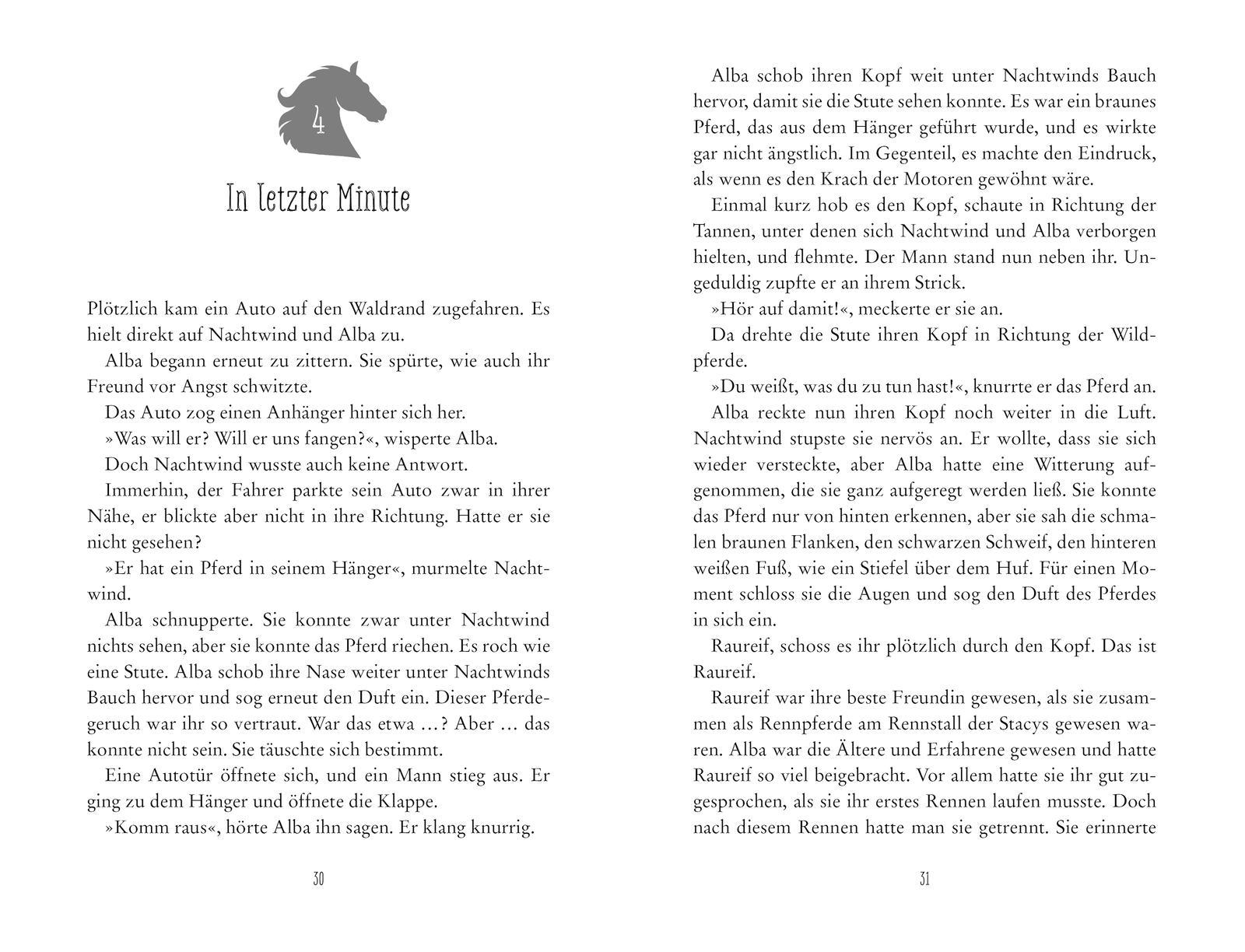 Beispielinhalt (Bild) Wild Horses - Zusammen durch den Sturm