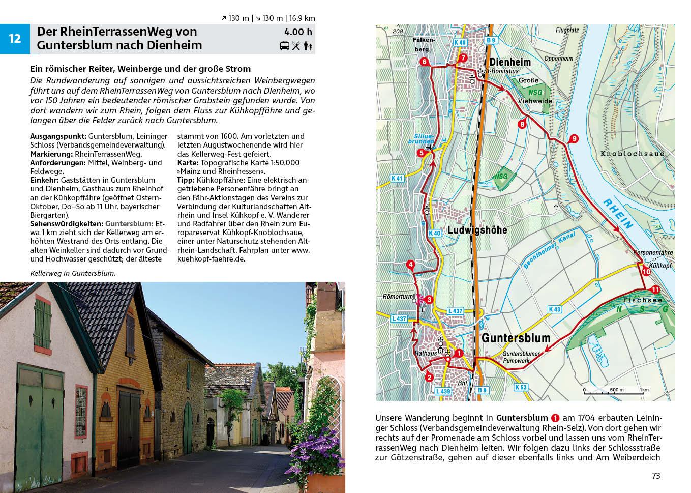 Beispielinhalt (Bild) Rheinhessen