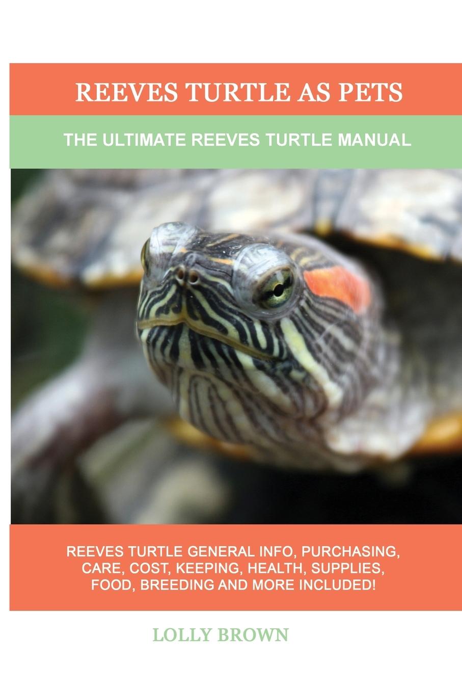 Vorderes Coverbild Reeves Turtle as Pets