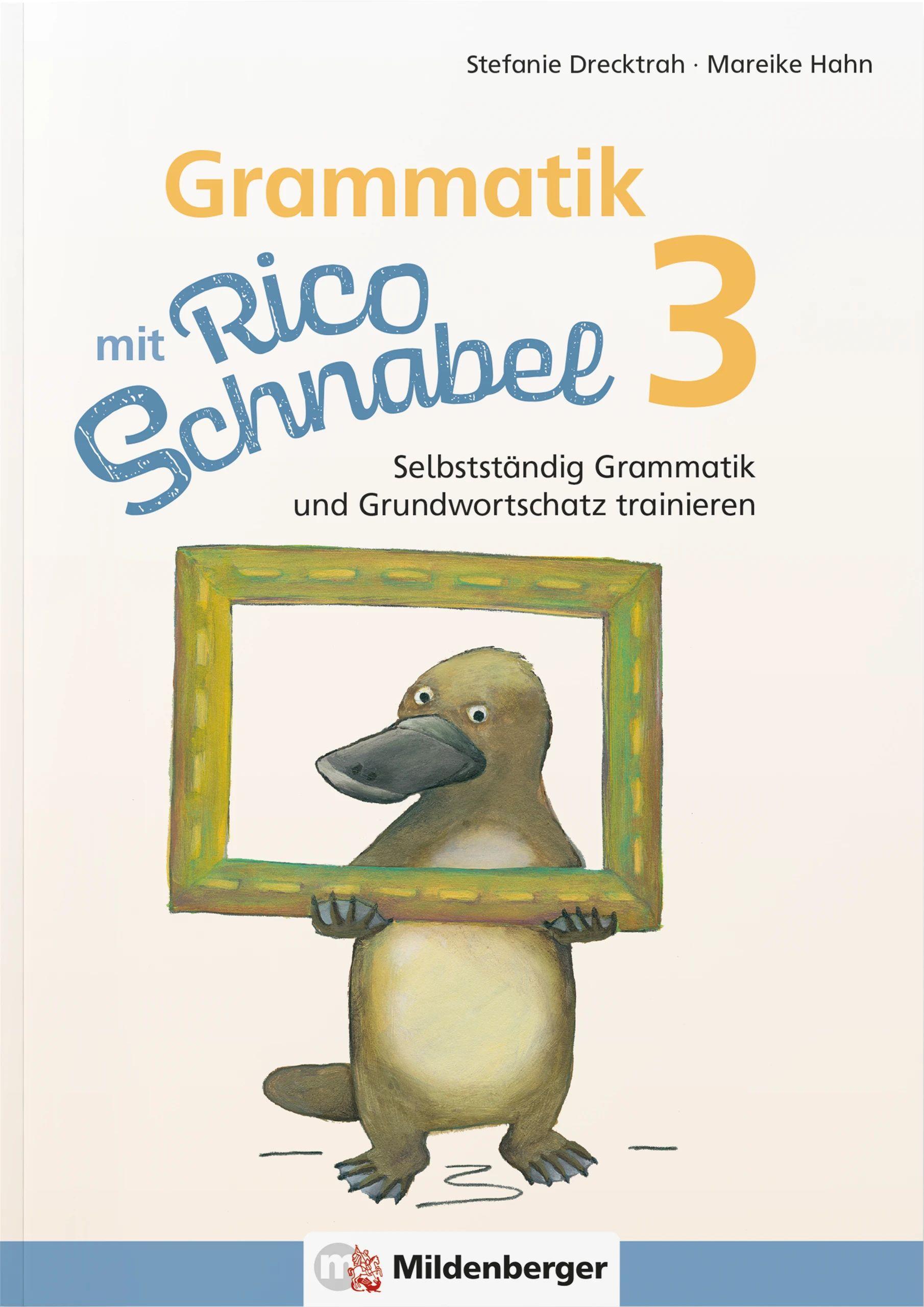 Vorderes Coverbild Grammatik mit Rico Schnabel, Klasse 3