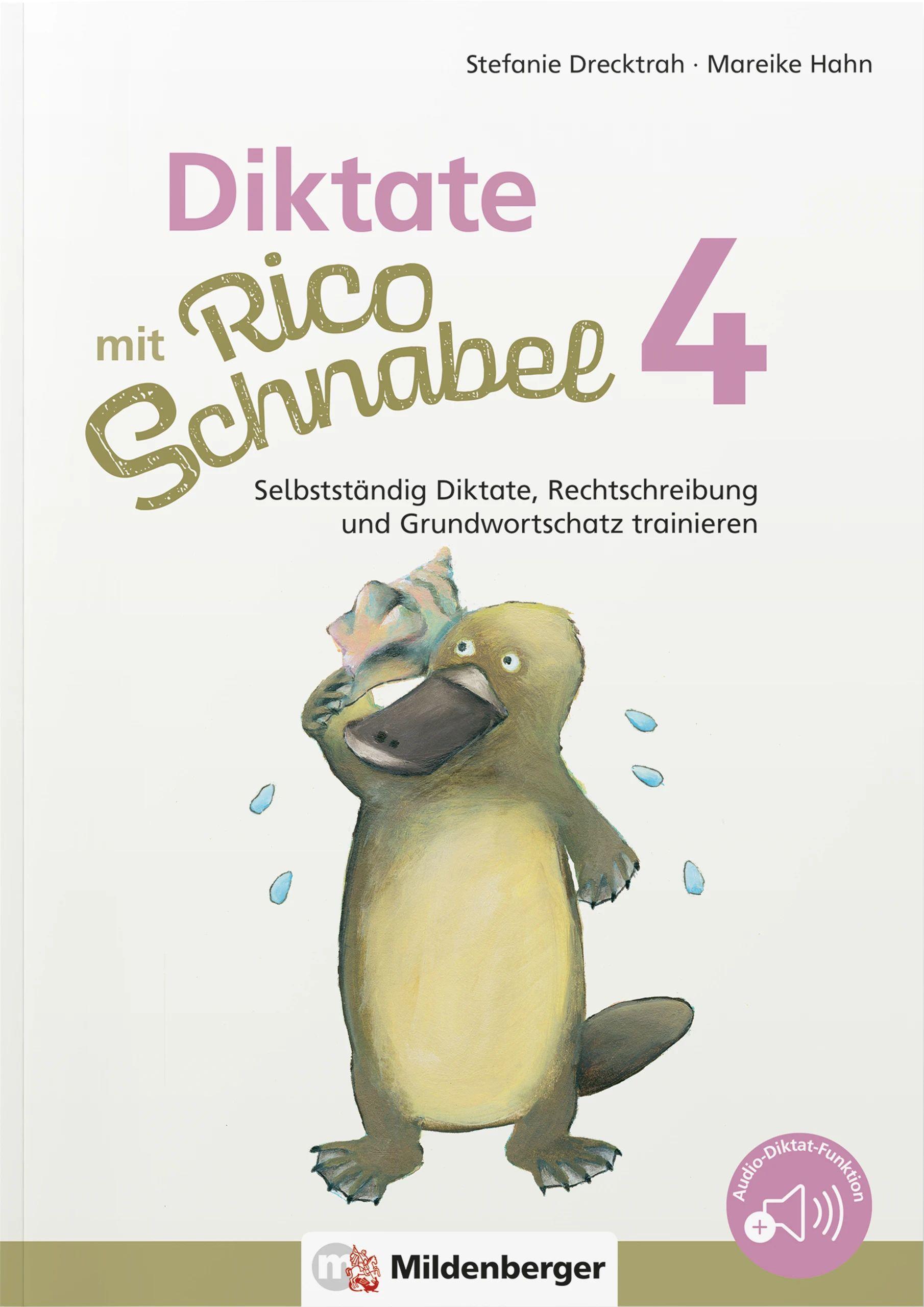 Vorderes Coverbild Diktate mit Rico Schnabel, Klasse 4