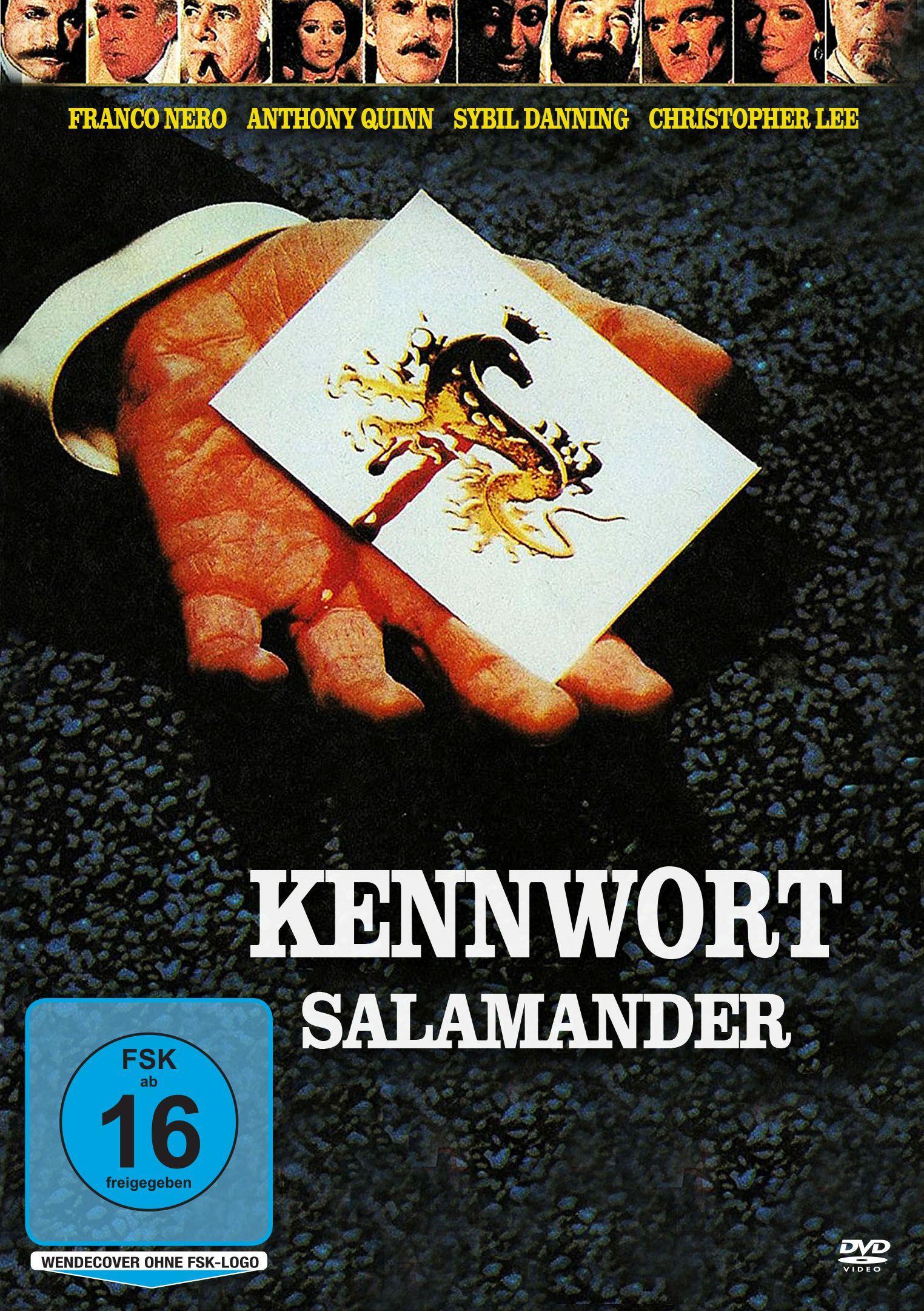 Vorderes Coverbild Kennwort Salamander
