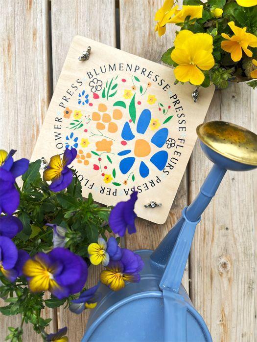 Beispielinhalt (Bild) Blumenpresse