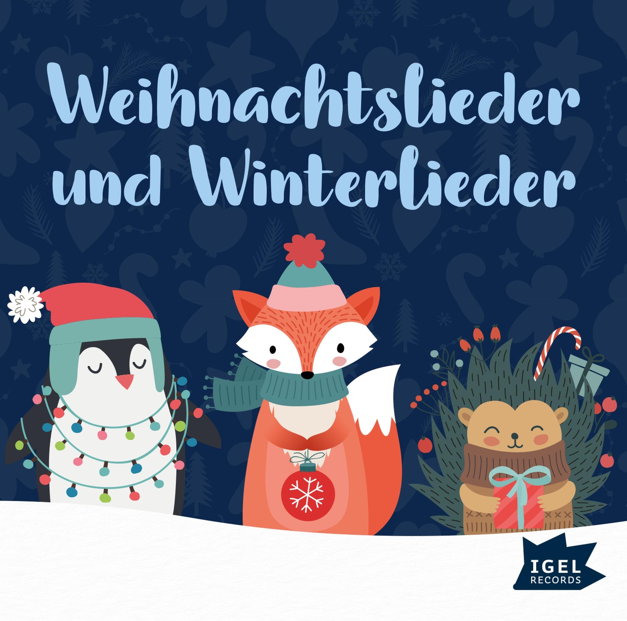 Vorderes Coverbild Weihnachtslieder und Winterlieder