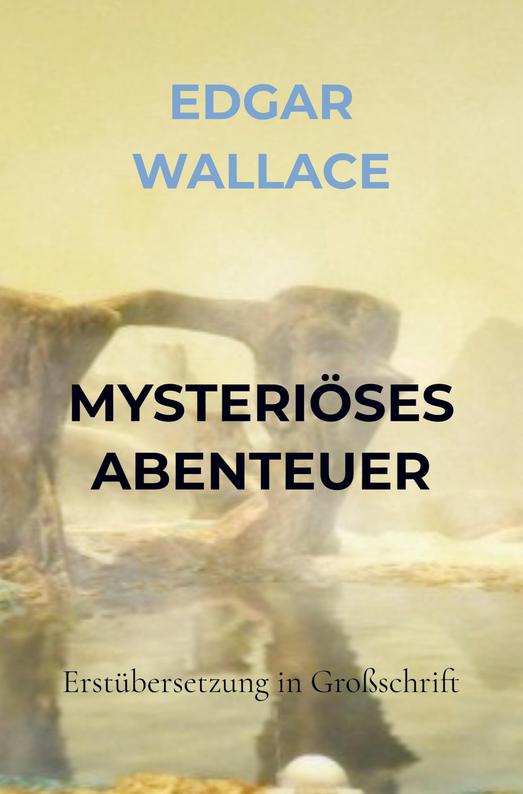 Vorderes Coverbild MYSTERIÖSES ABENTEUER