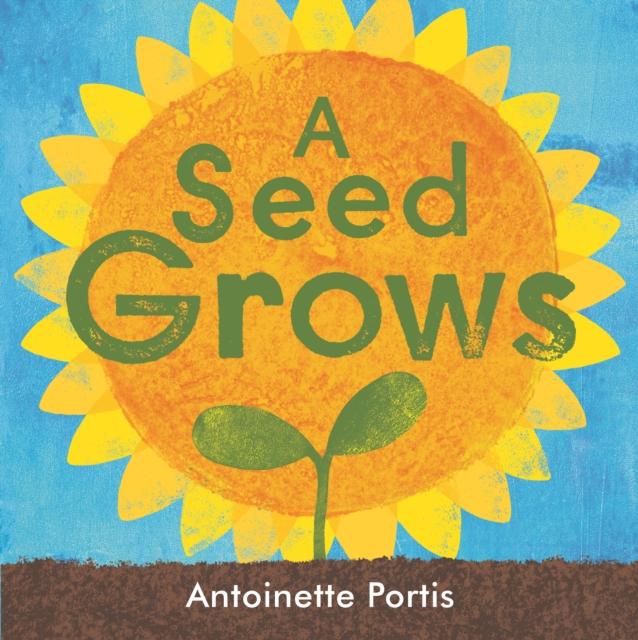Vorderes Coverbild A seed grows
