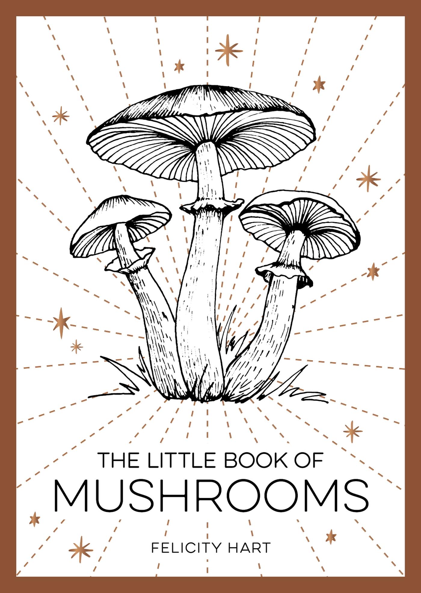 Vorderes Coverbild The Little Book of Mushrooms