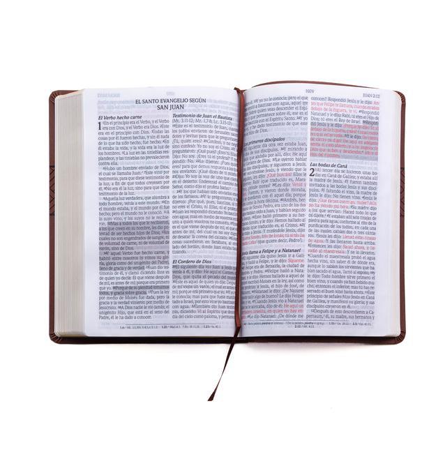 Vorderes Coverbild Santa Biblia de Promesas Reina Valera 1960 / Letra Gigante - 13 Puntos / Piel Especial Con Índice Y Cierre / Café // Spanish Promise Bible Rvr 1960 / Giant Print / Leathersoft with Index and Zipper / Brown