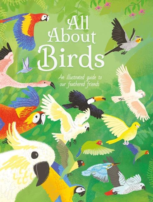 Vorderes Coverbild All about Birds