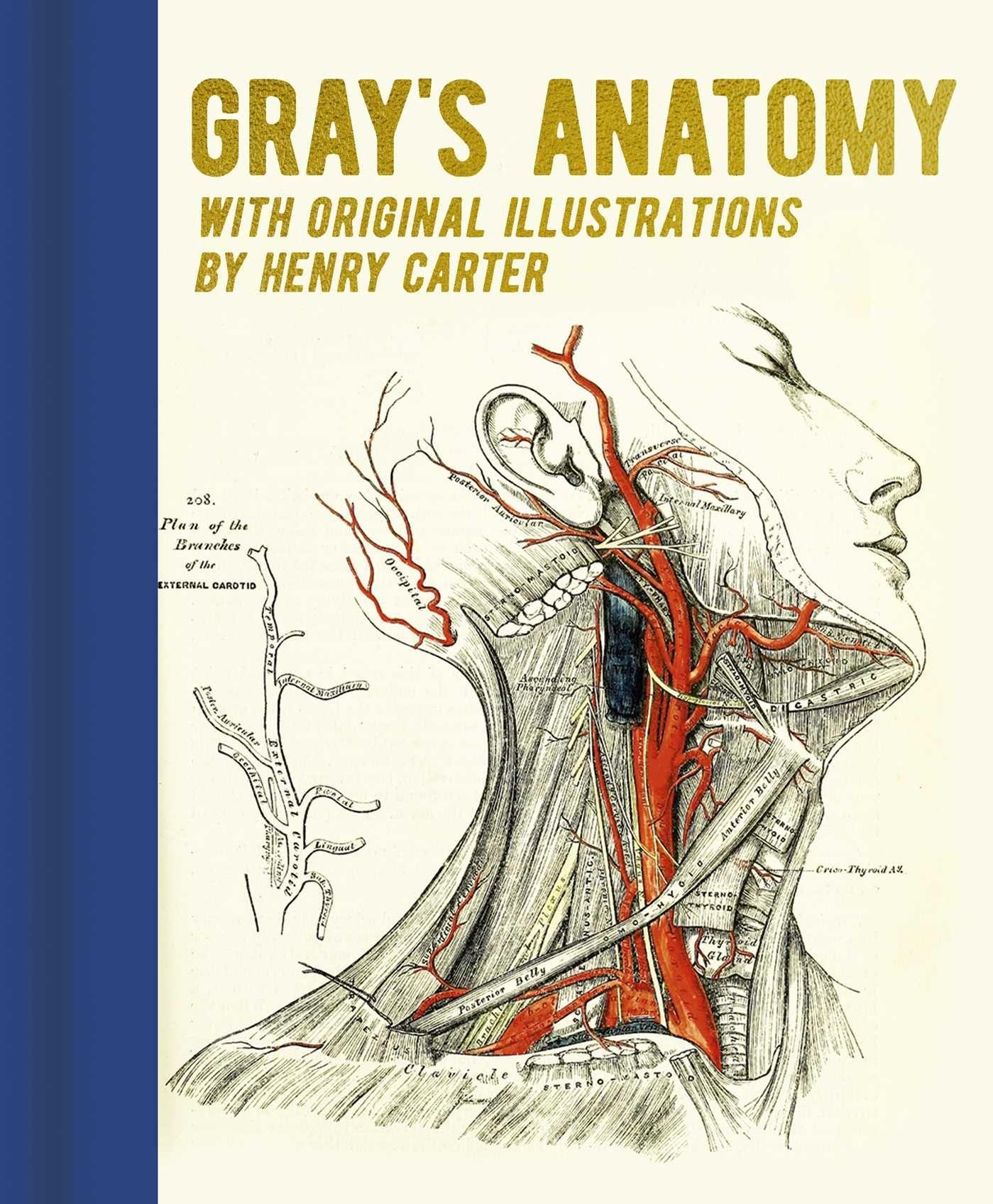 Vorderes Coverbild Gray's Anatomy