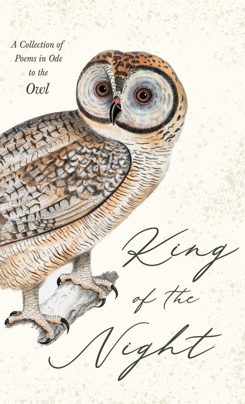 Vorderes Coverbild King of the Night - A Collection of Poems in Ode to the Owl