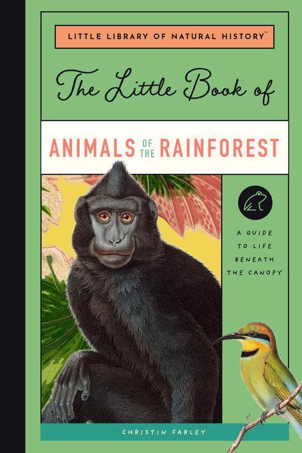 Vorderes Coverbild The Little Book of Animals of the Rainforest