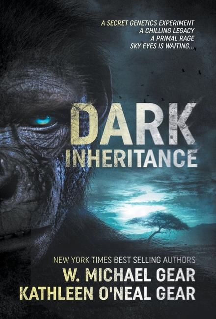 Vorderes Coverbild Dark Inheritance