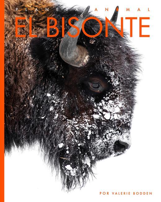 Vorderes Coverbild El Bisonte