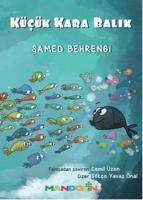 Vorderes Coverbild Kücük Kara Balik