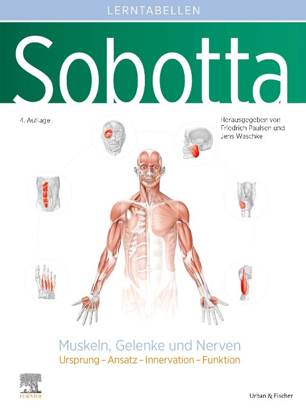 Vorderes Coverbild Sobotta Lerntabellen Anatomie Muskeln, Gelenke und Nerven