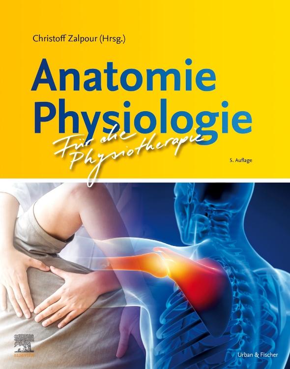 Vorderes Coverbild Anatomie Physiologie für die Physiotherapie