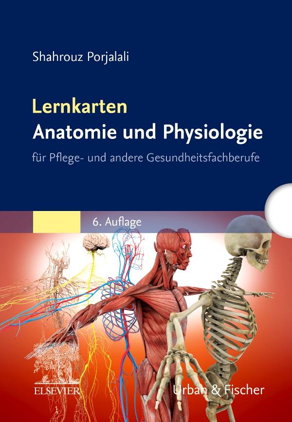 Vorderes Coverbild Lernkarten Anatomie und Physiologie