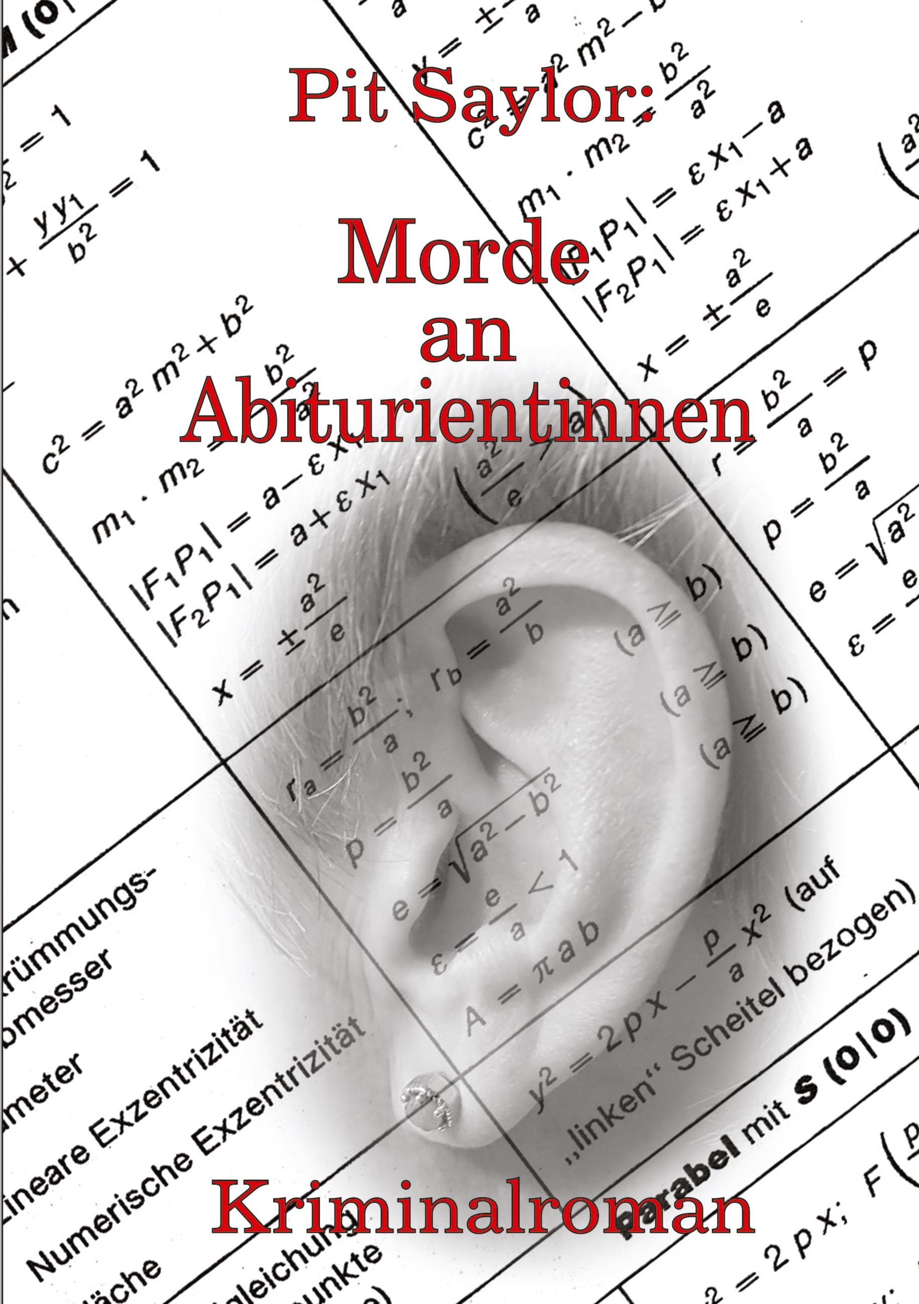 Vorderes Coverbild Morde an Abiturientinnen
