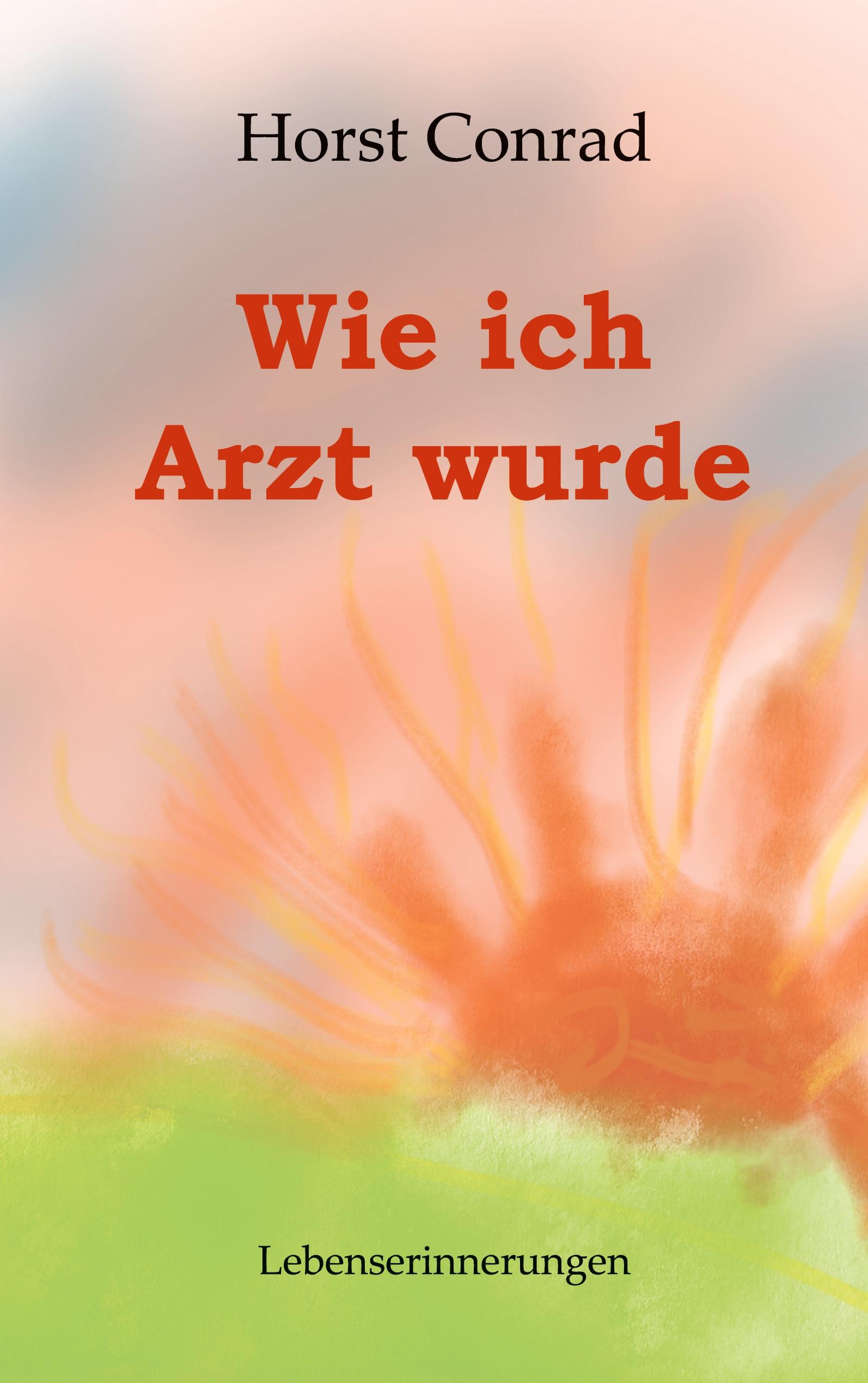 Vorderes Coverbild Wie ich Arzt wurde