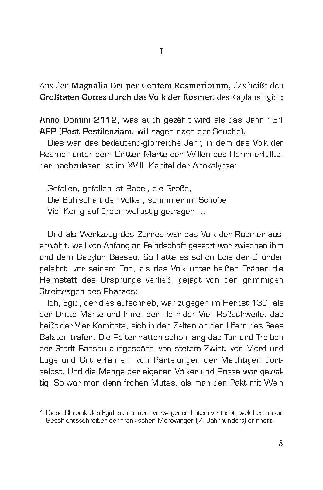 Beispielinhalt (Bild) Der Untergang der Stadt Passau
