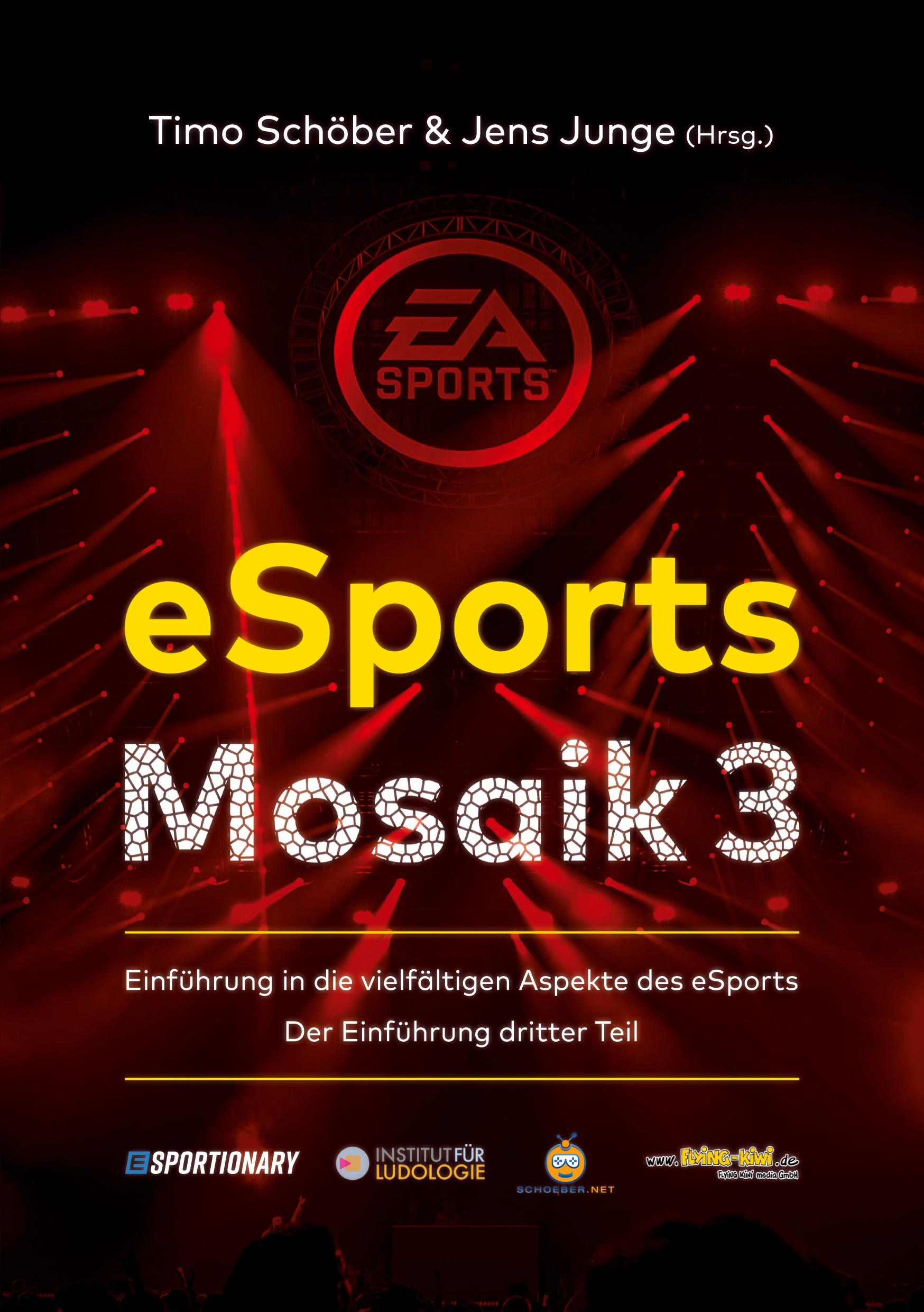 Vorderes Coverbild eSports Mosaik 3