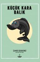 Vorderes Coverbild Kücük Kara Balik