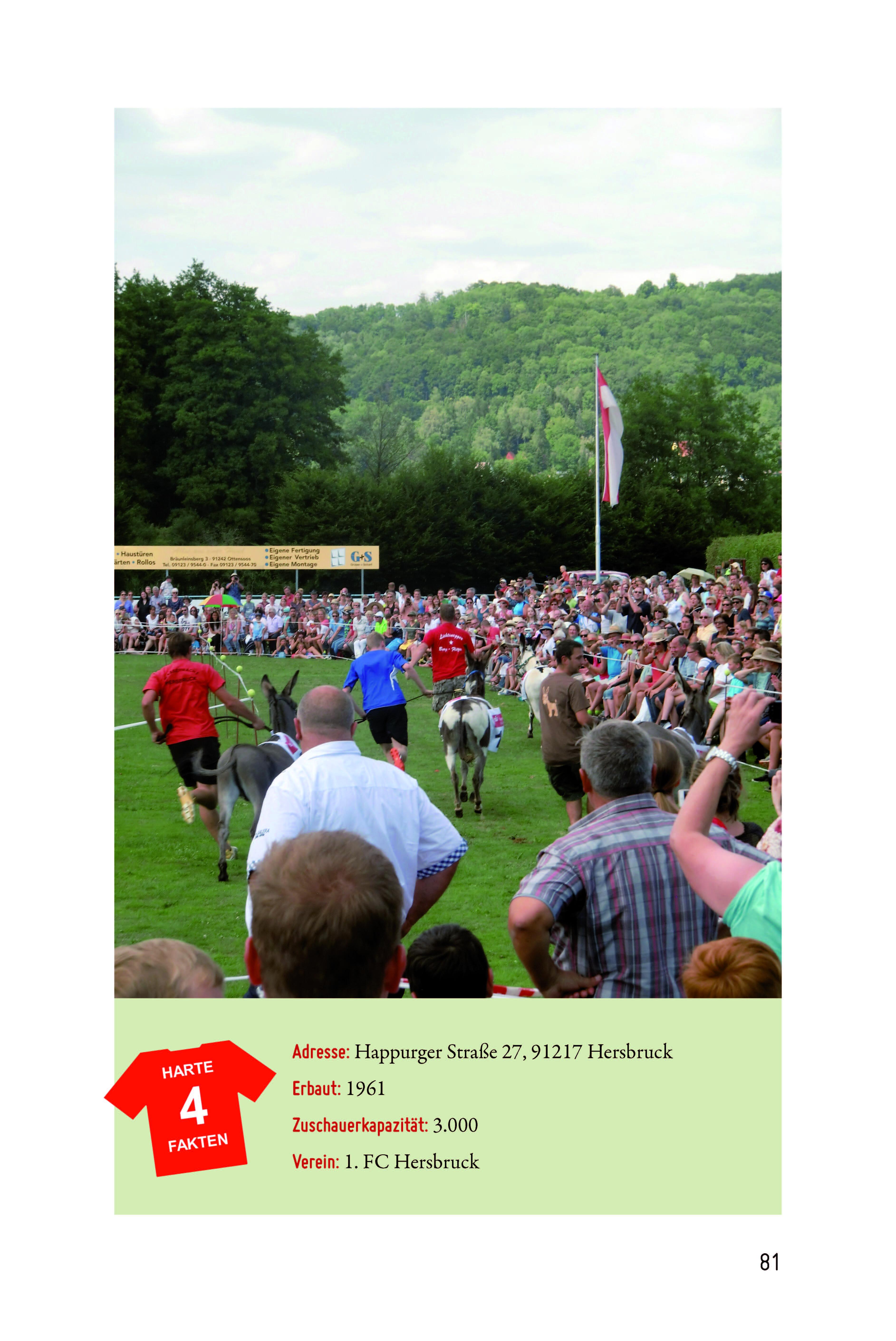 Beispielinhalt (Bild) Fußballheimat Franken