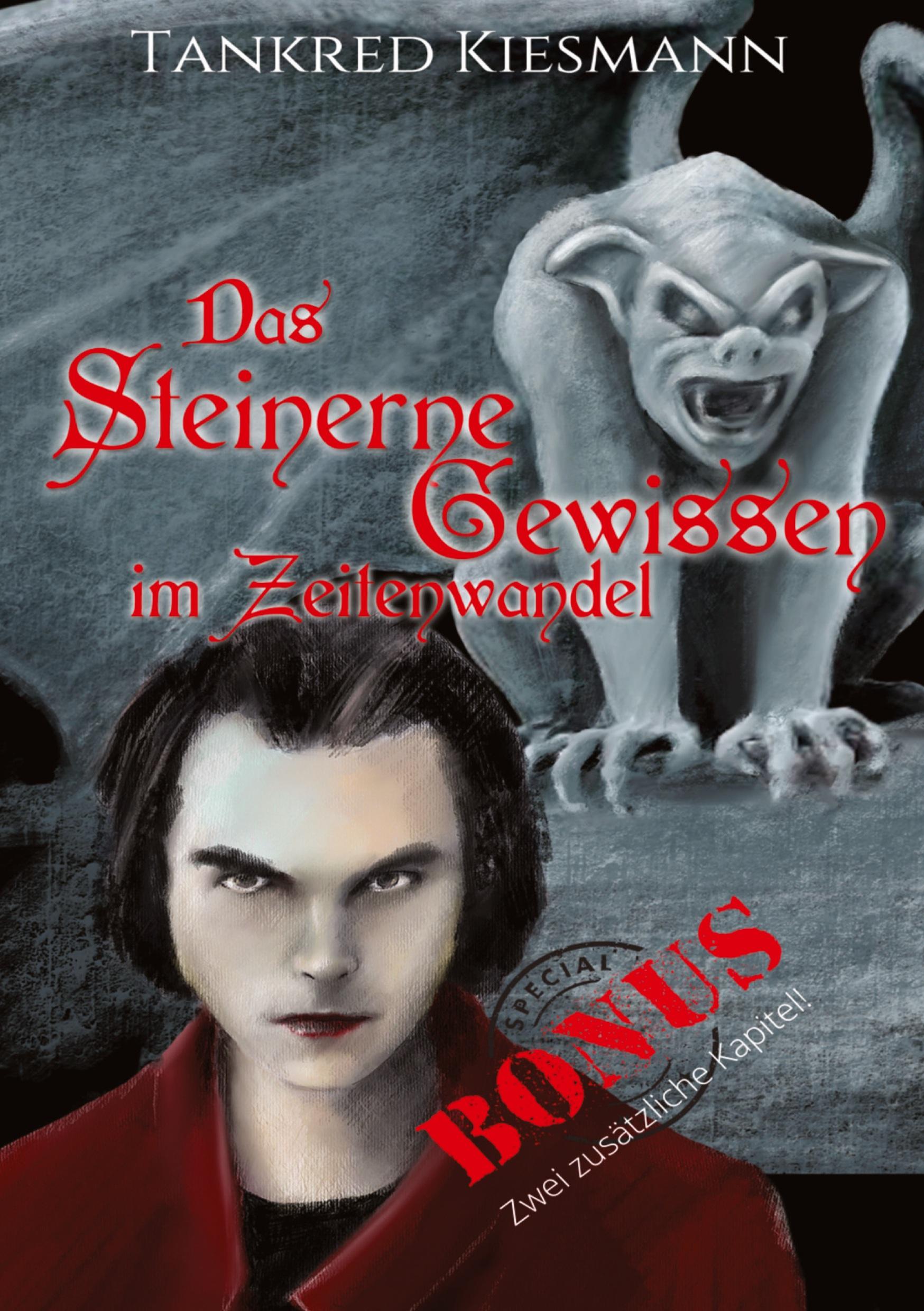 Vorderes Coverbild Das steinerne Gewissen im Zeitenwandel