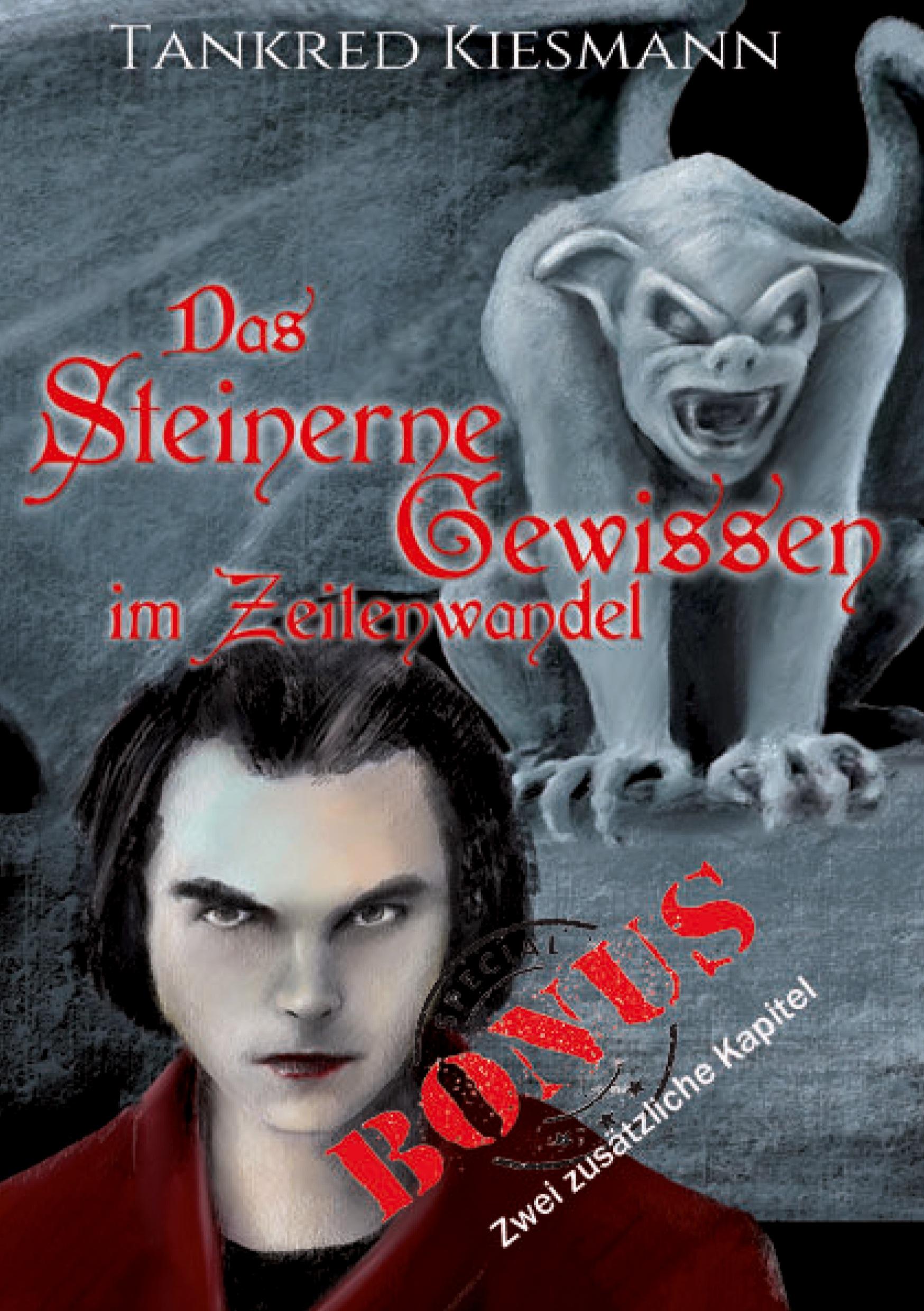 Vorderes Coverbild Das steinerne Gewissen im Zeitenwandel