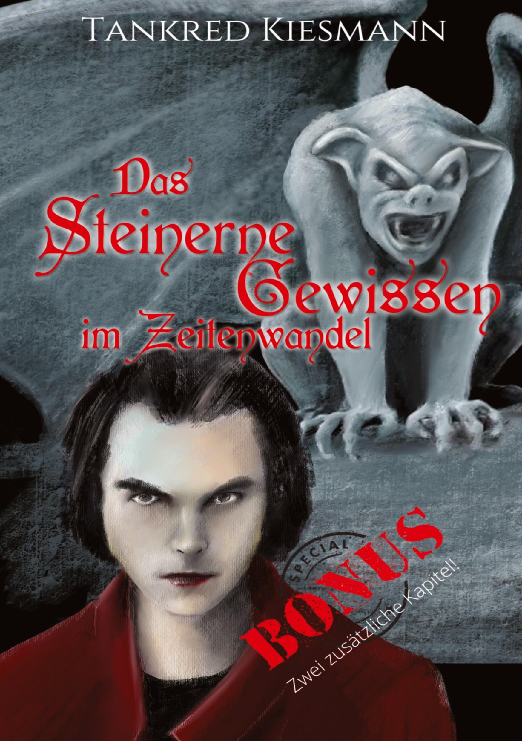 Vorderes Coverbild Das steinerne Gewissen im Zeitenwandel