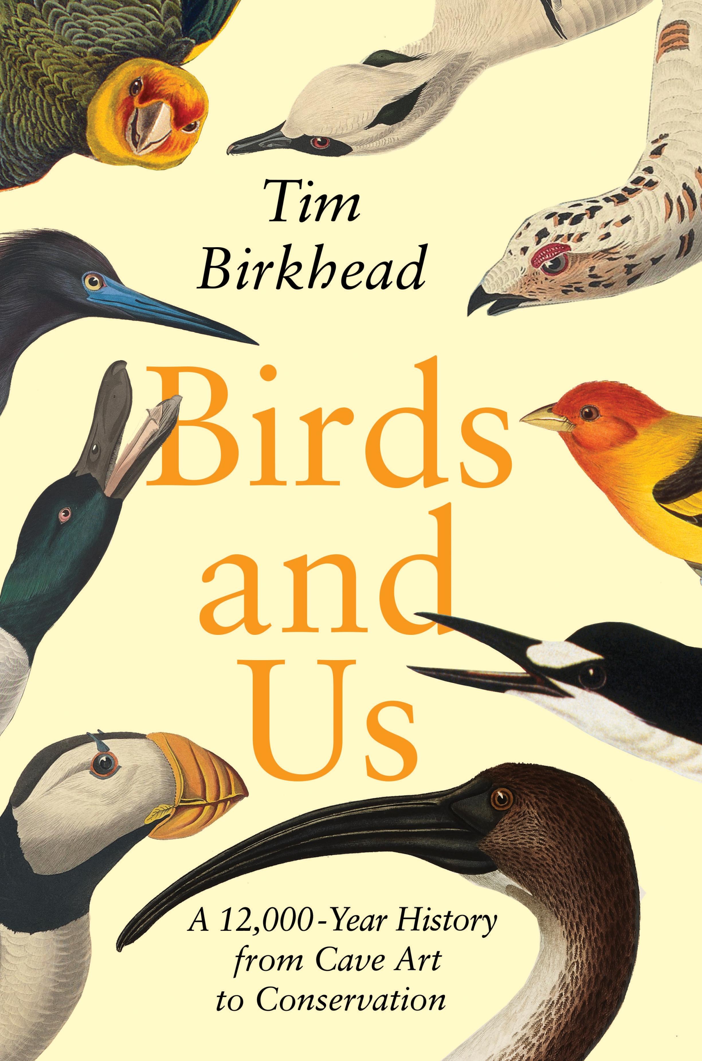 Vorderes Coverbild Birds and Us