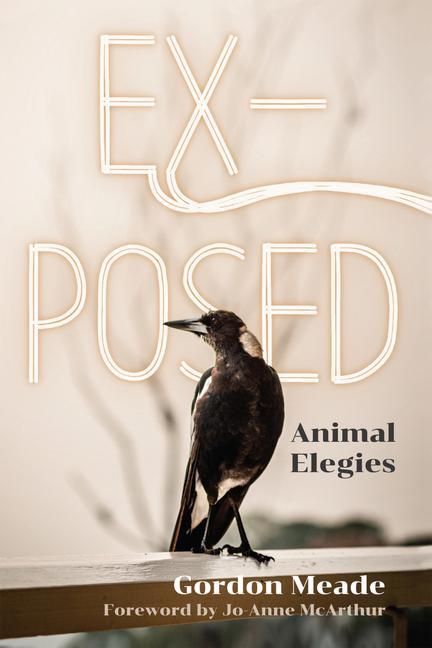 Vorderes Coverbild Ex-Posed