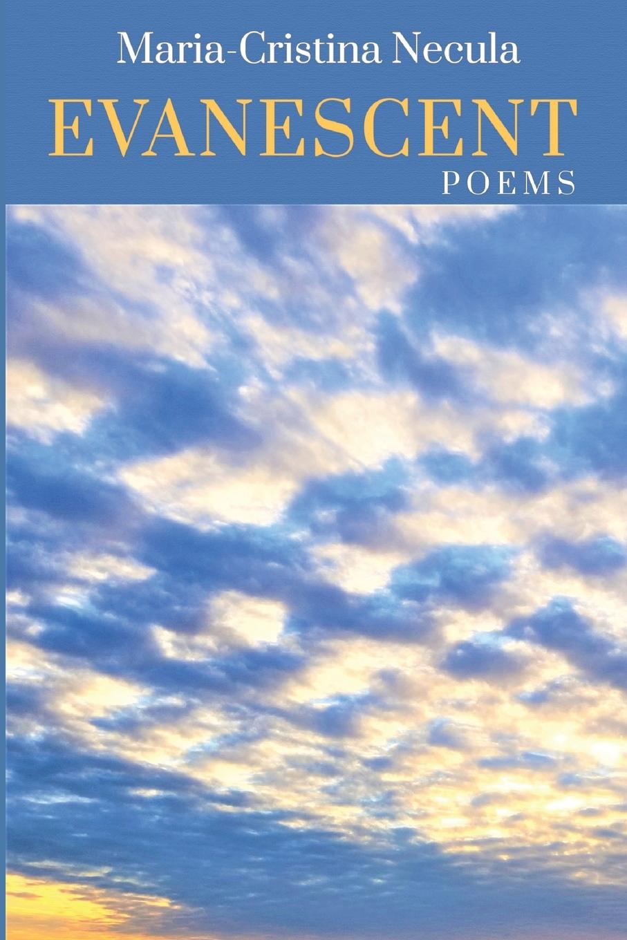 Vorderes Coverbild Evanescent