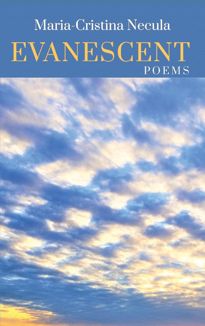 Vorderes Coverbild Evanescent