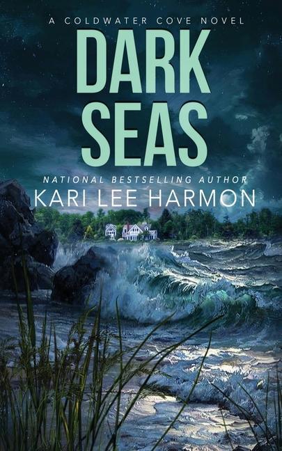 Vorderes Coverbild Dark Seas