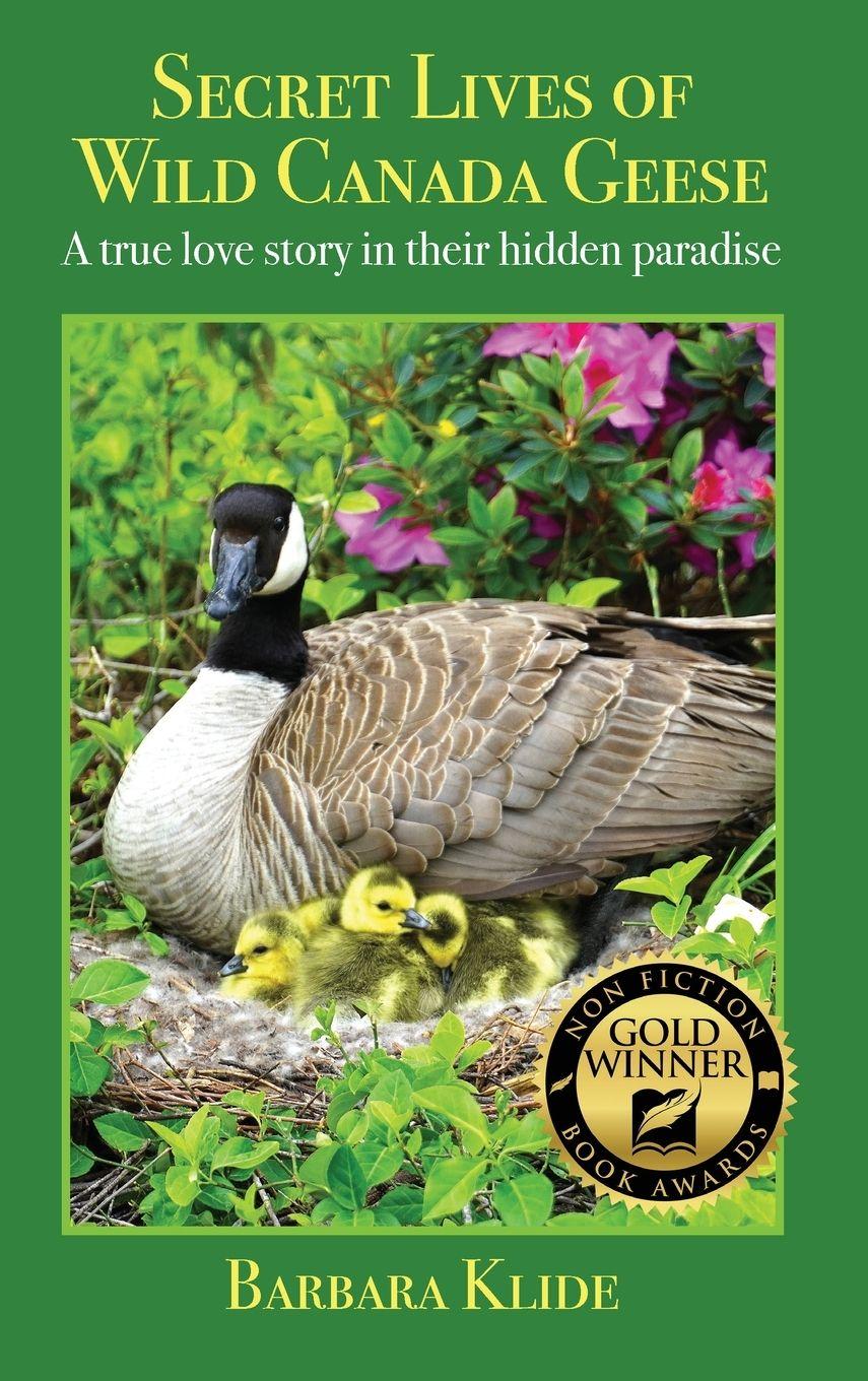 Vorderes Coverbild Secret Lives of Wild Canada Geese