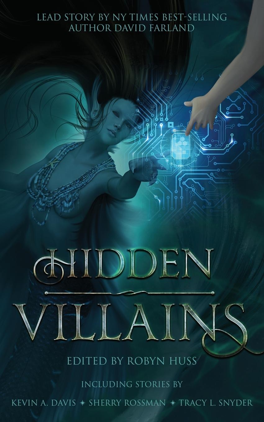 Vorderes Coverbild Hidden Villains