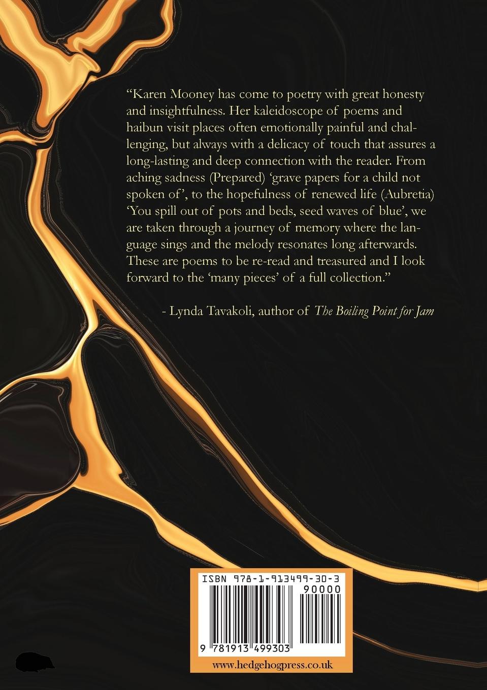 Rückseitencover Missing Pieces