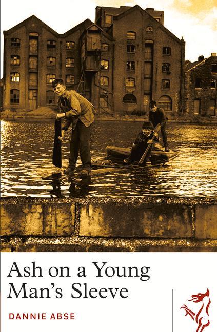 Vorderes Coverbild Ash on a Young Man's Sleeve