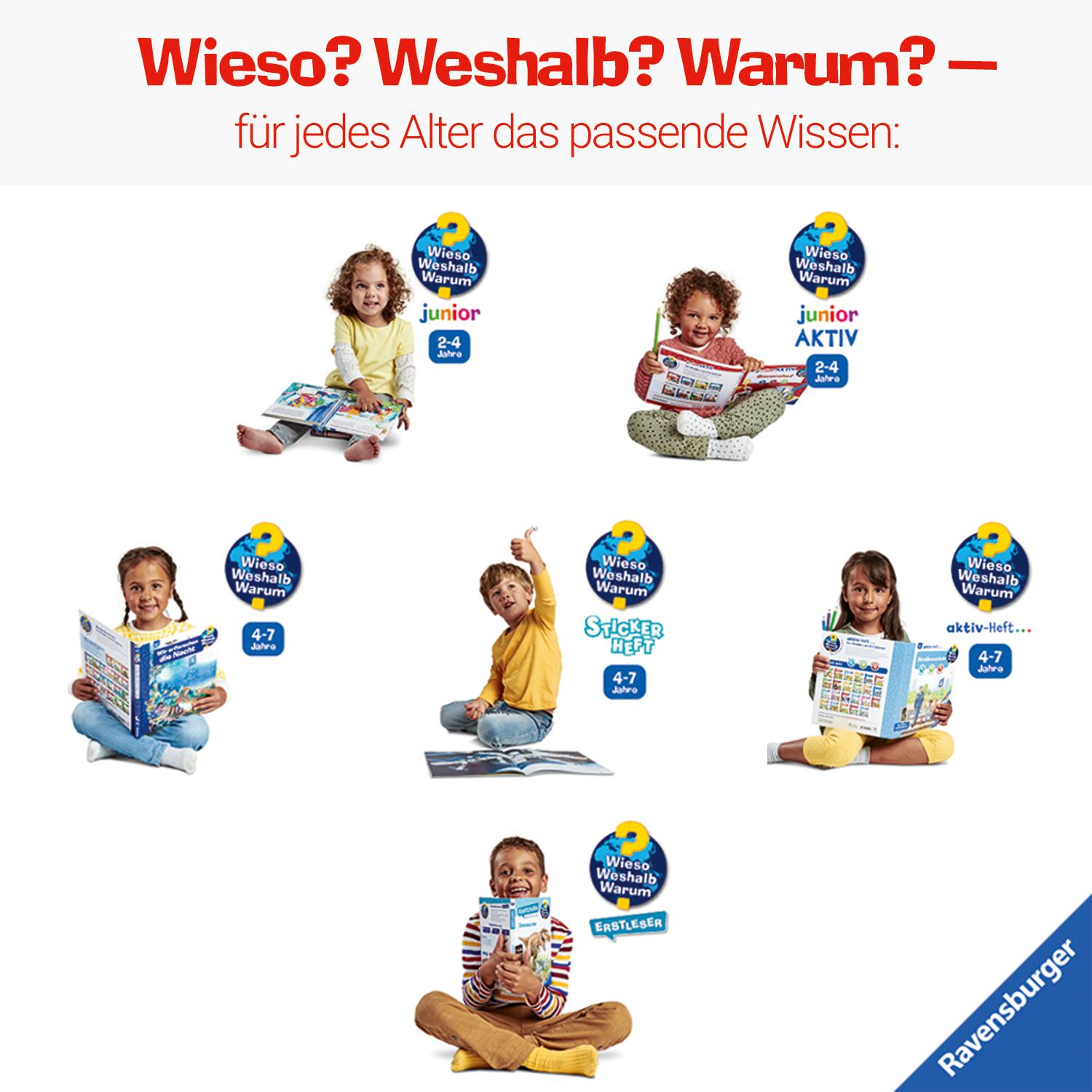 Beispielinhalt (Bild) Wieso? Weshalb? Warum? Stickerheft: Fahrzeuge auf der Baustelle