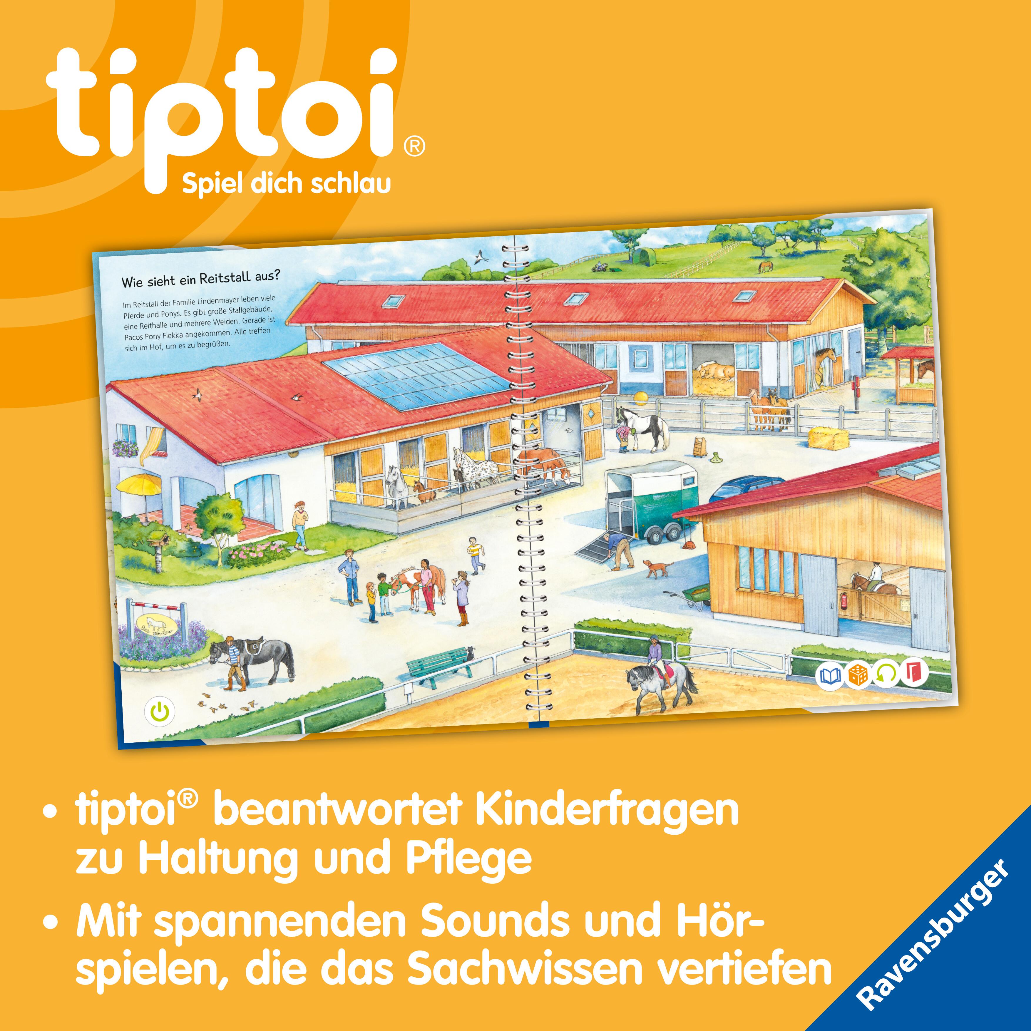 Beispielinhalt (Bild) tiptoi® Wieso? Weshalb? Warum? Wir entdecken Pferde und Ponys