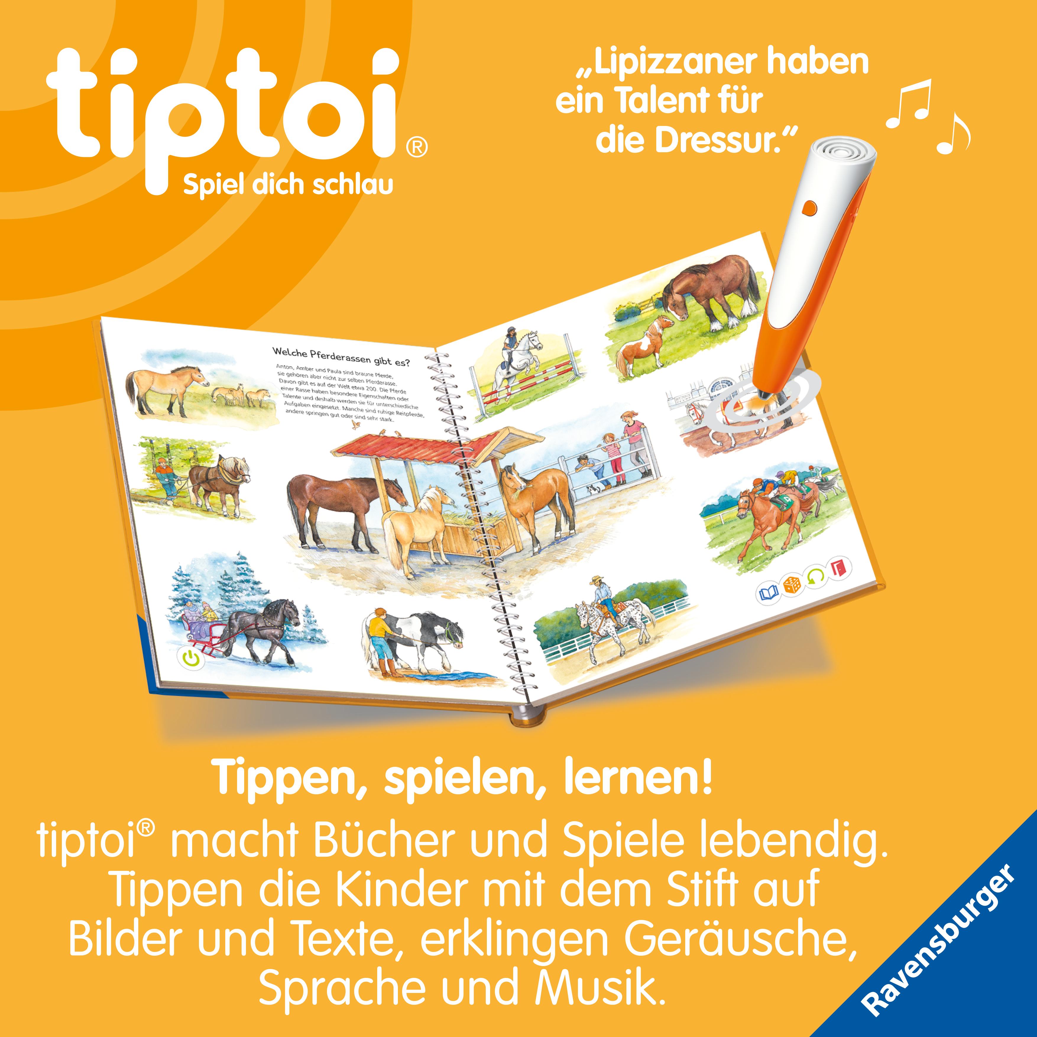 Beispielinhalt (Bild) tiptoi® Wieso? Weshalb? Warum? Wir entdecken Pferde und Ponys