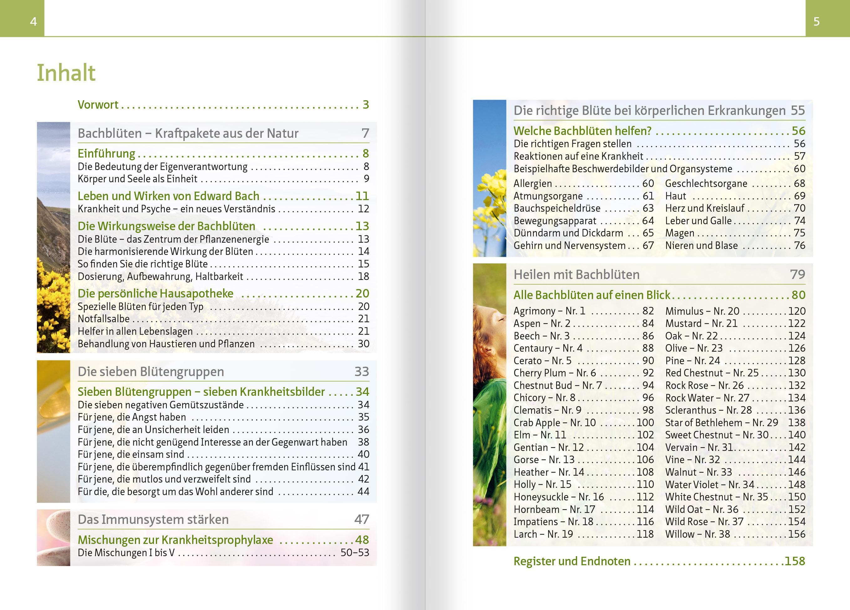 Beispielinhalt (Bild) Heilen mit Bachblüten. Kompakt-Ratgeber