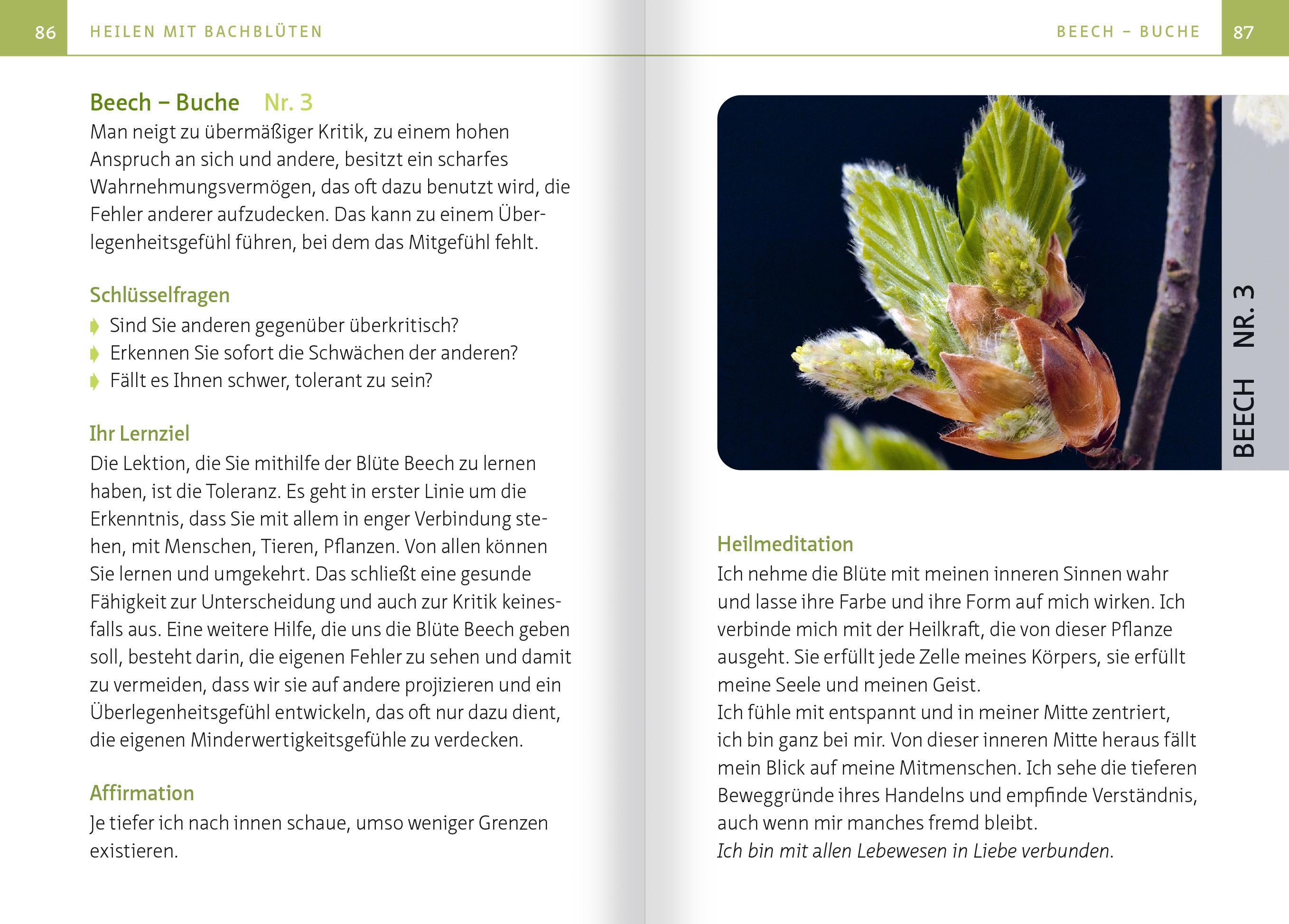 Beispielinhalt (Bild) Heilen mit Bachblüten. Kompakt-Ratgeber