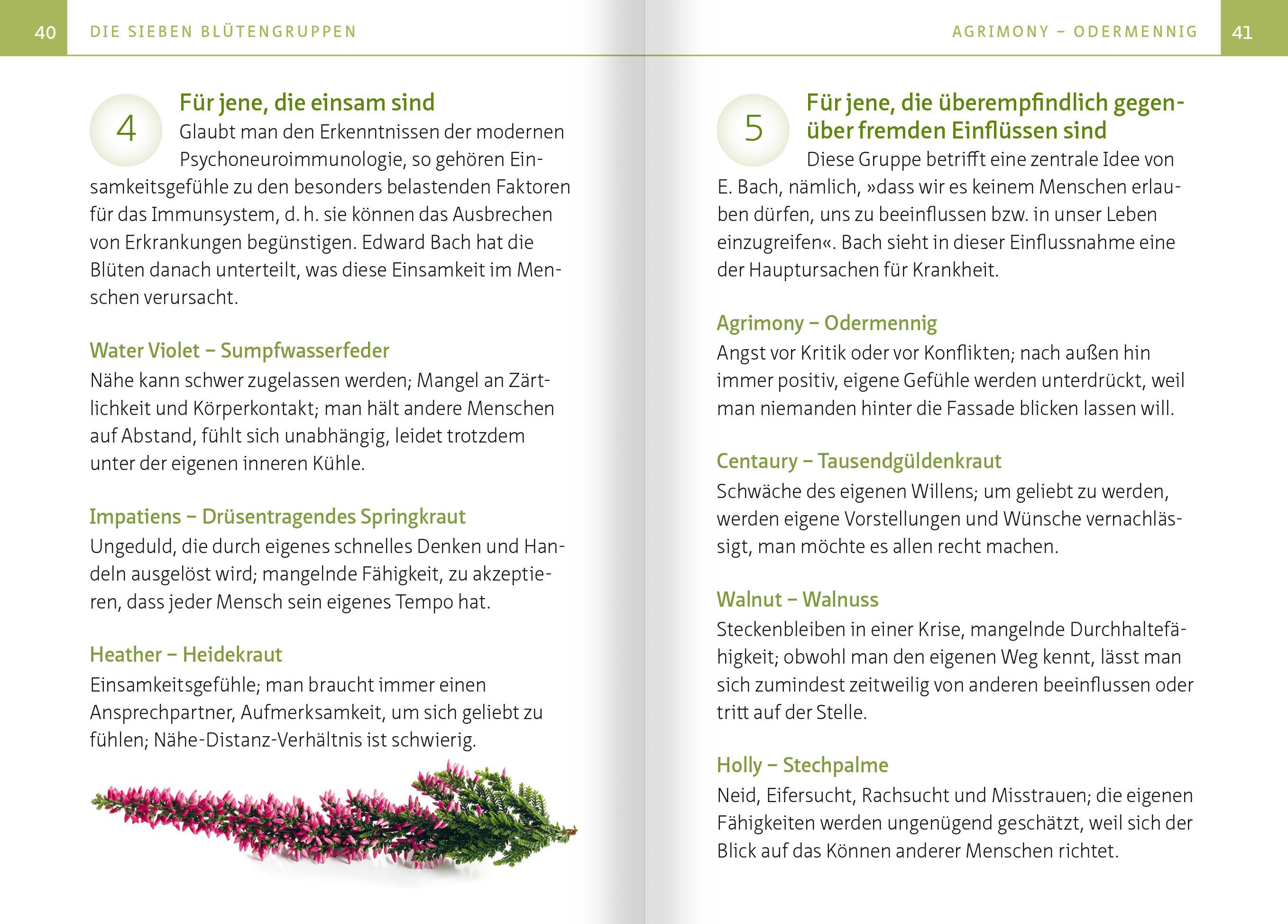 Beispielinhalt (Bild) Heilen mit Bachblüten. Kompakt-Ratgeber