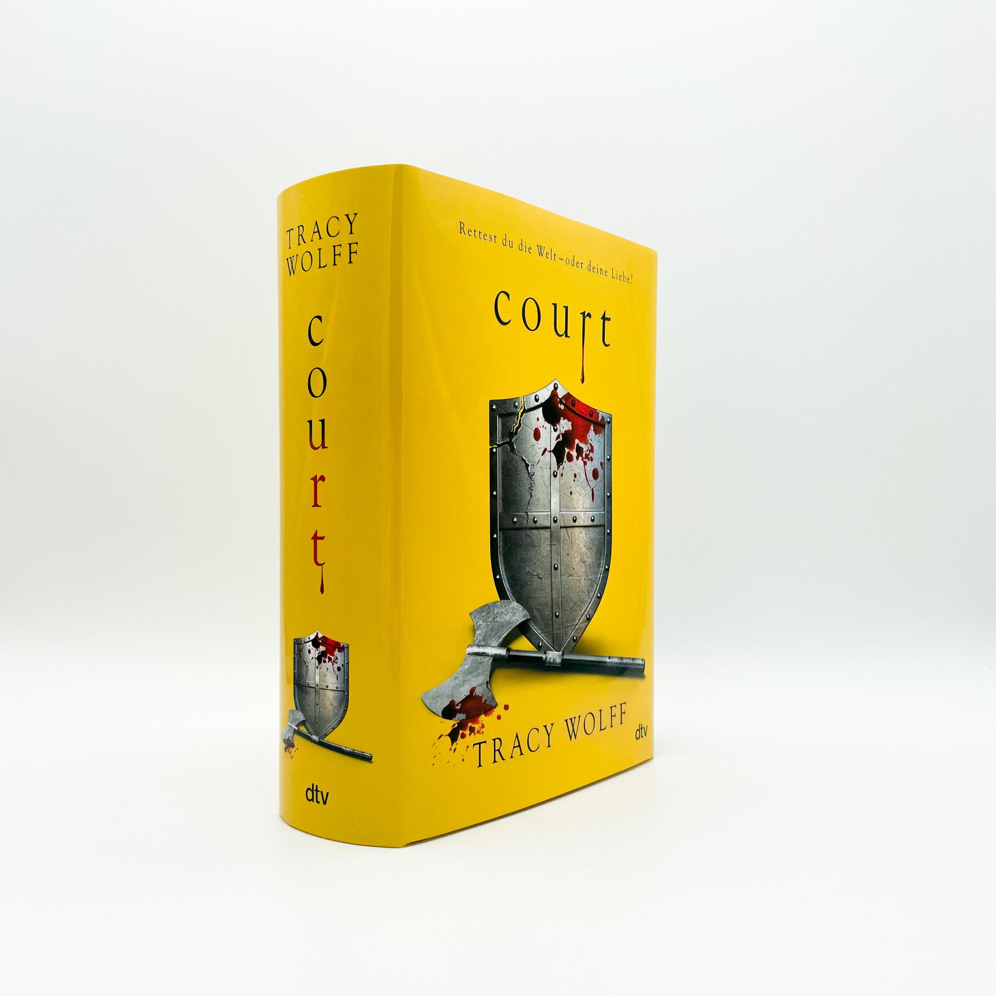 Beispielinhalt (Bild) Court