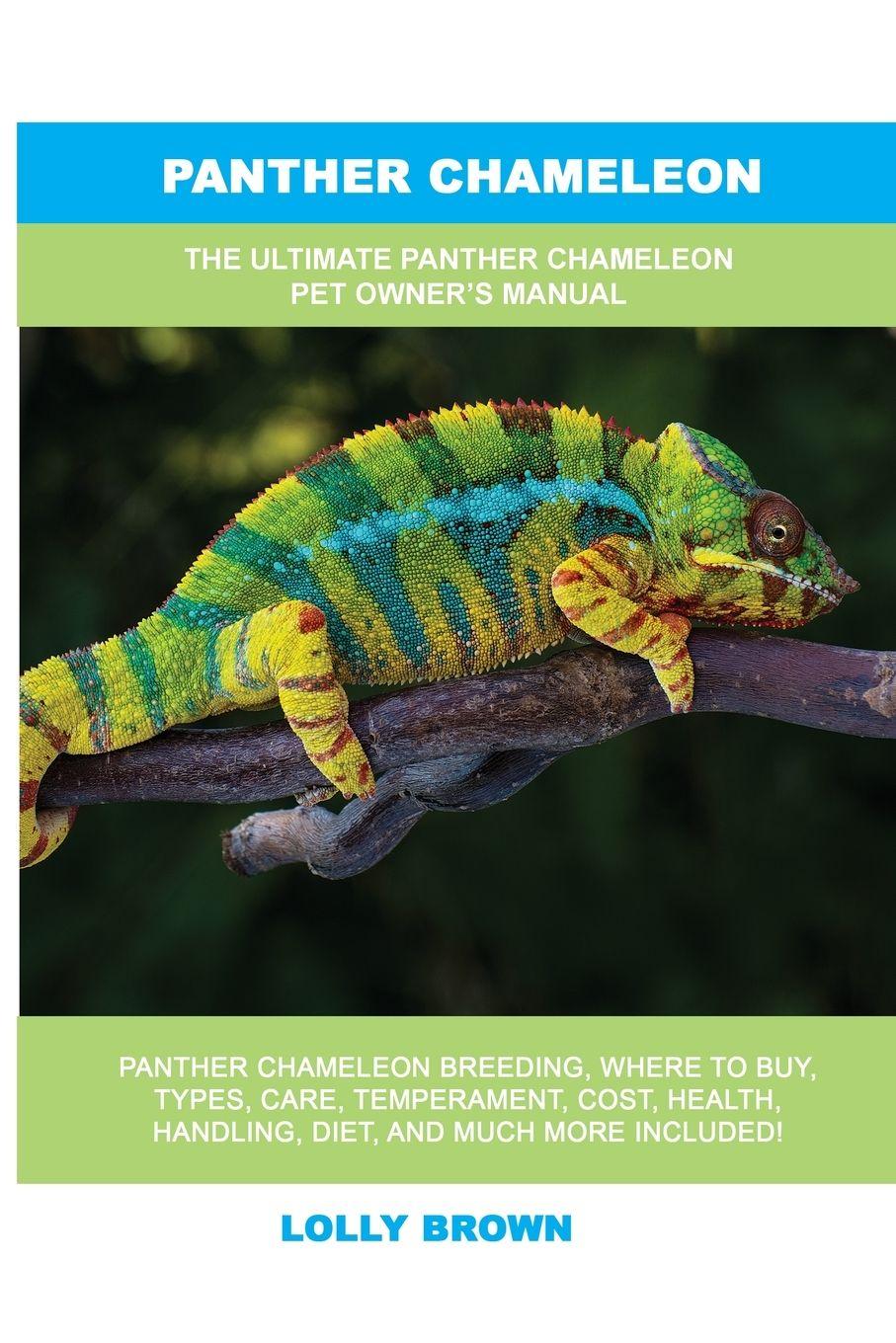 Vorderes Coverbild Panther Chameleon
