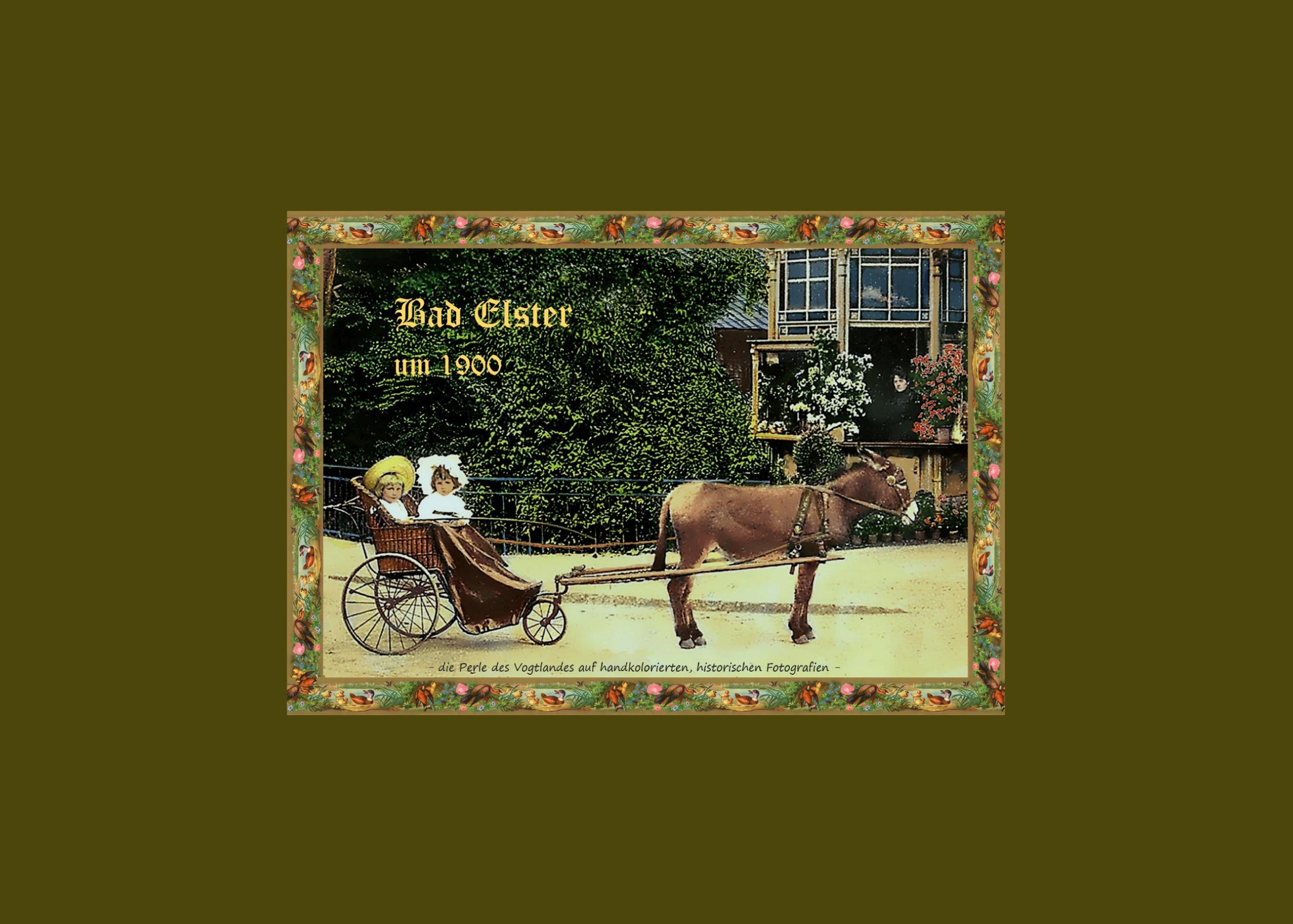 Vorderes Coverbild Bad Elster